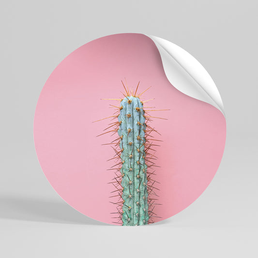 MISTER CACTUS Kulatá samolepka