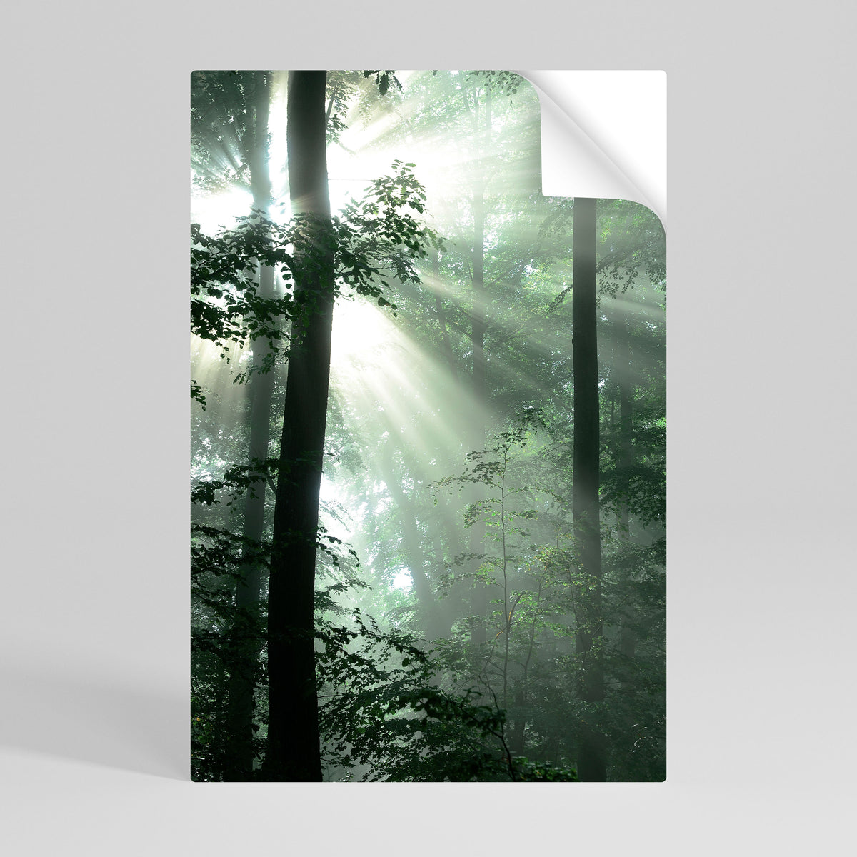 MYSTICAL SUNBEAMS Svislý samolepicí plakát