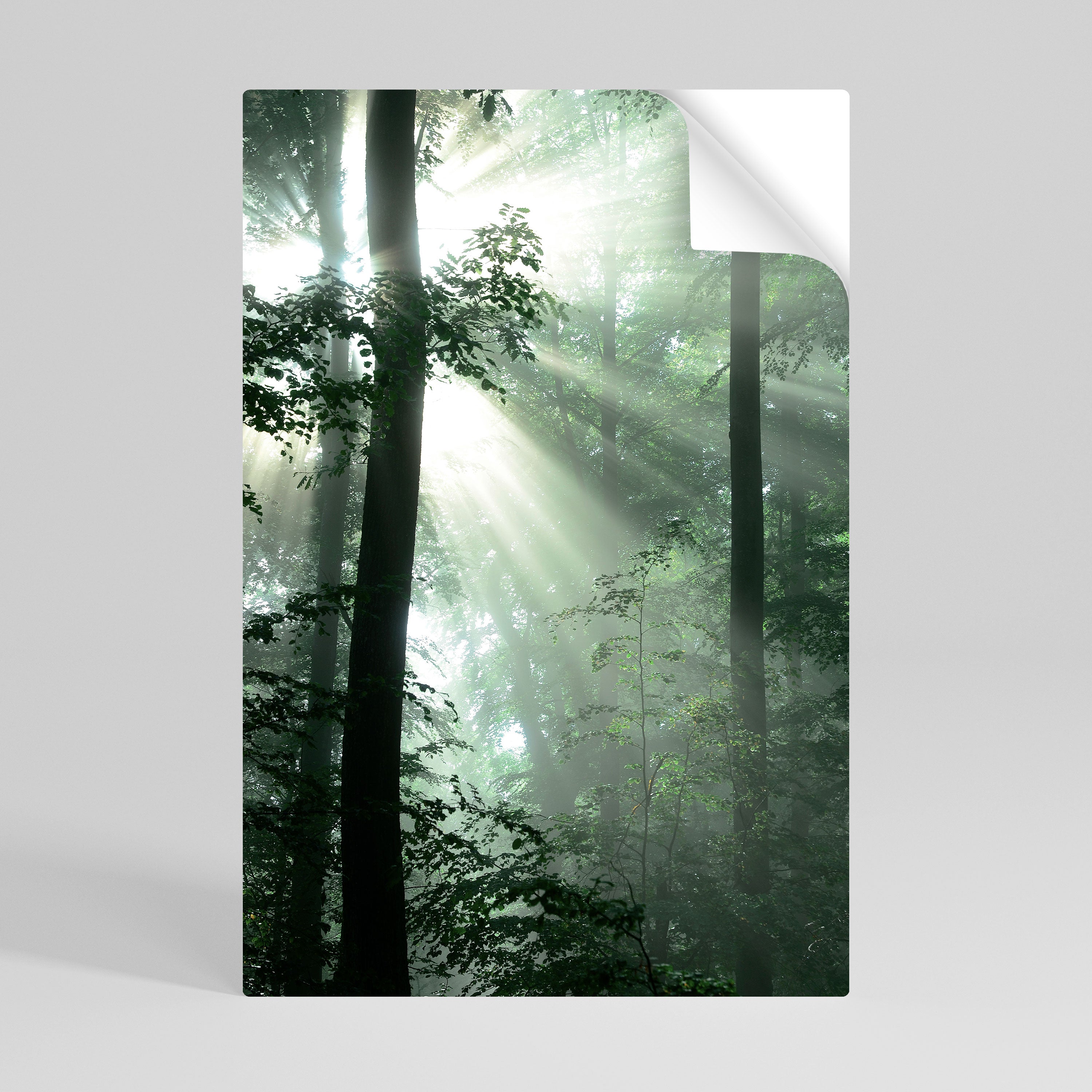MYSTICAL SUNBEAMS Peel and Stick Vertical Poster