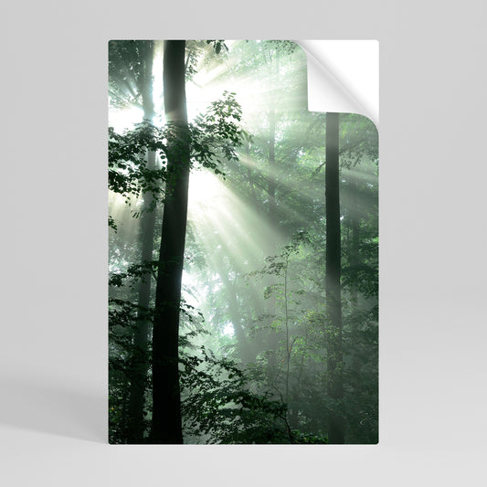 MYSTICAL SUNBEAMS Svislý samolepicí plakát