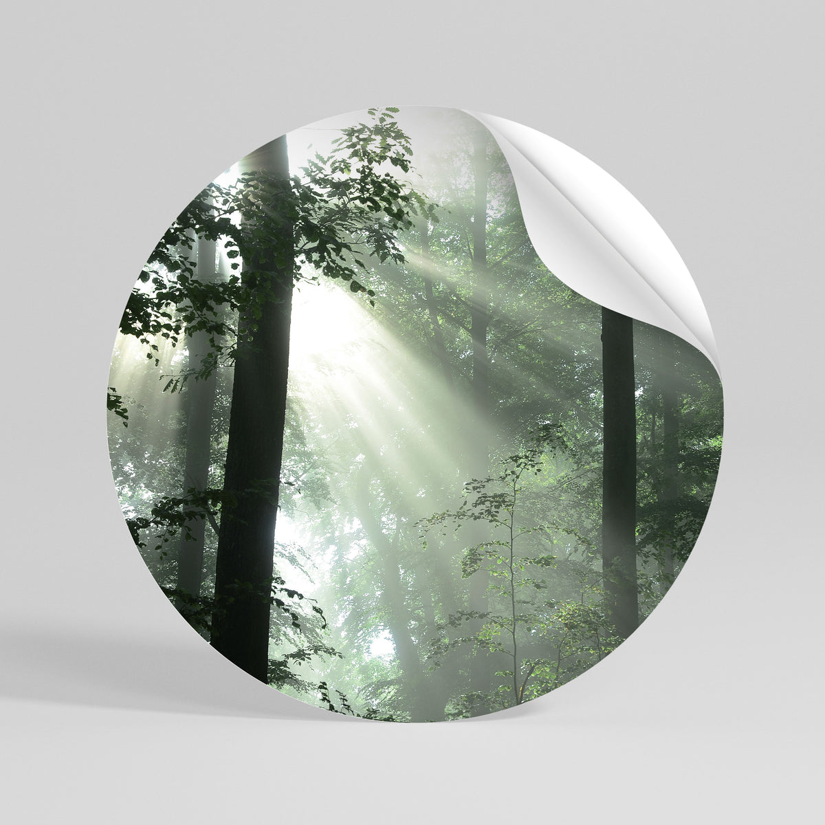 MYSTICAL SUNBEAMS Kulatá samolepka
