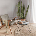 SILENT WATERSCAPE Coffee Table