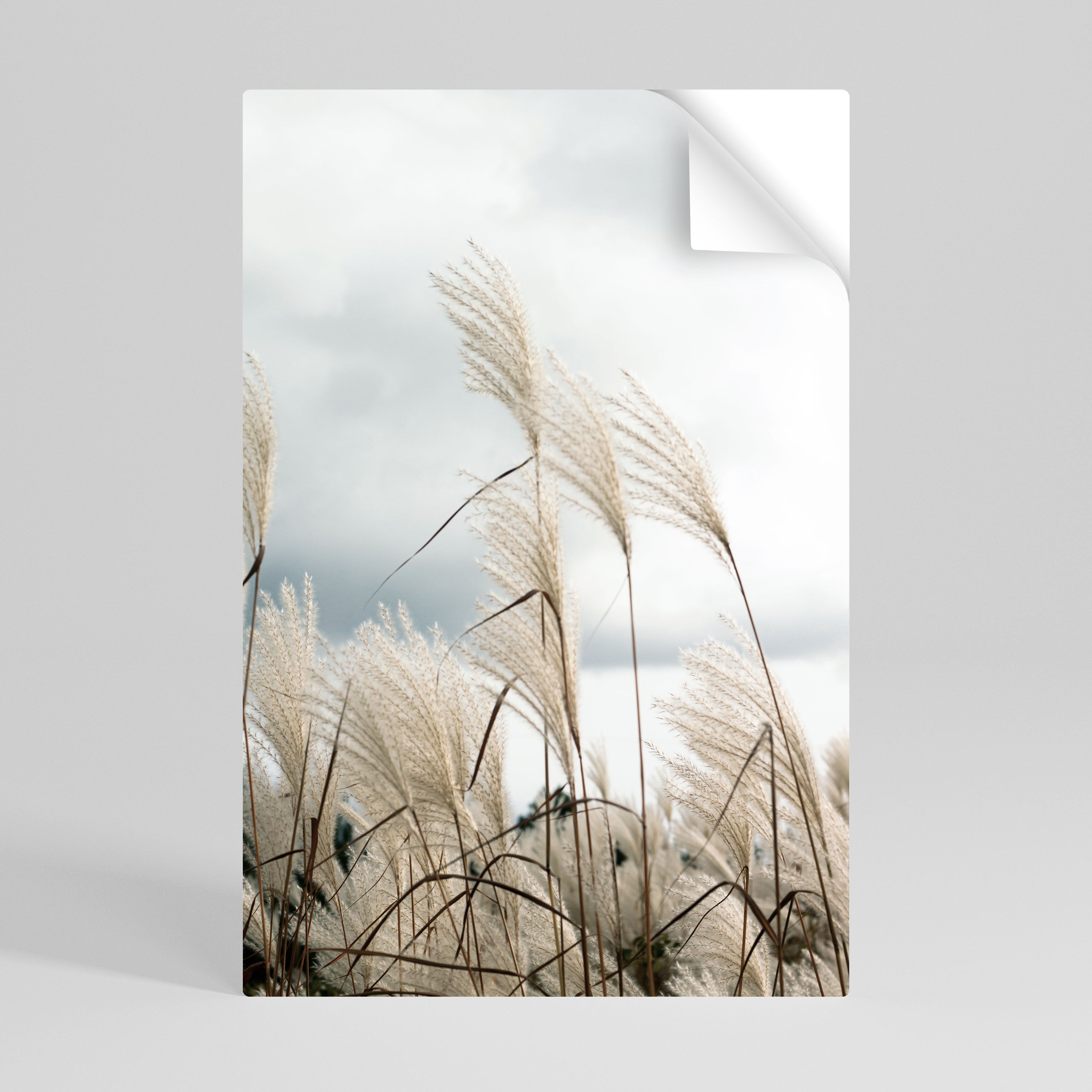 CLOUDS ABOVE GRASS Peel and Stick Vertical Poster