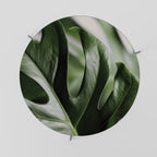SHARP MONSTERA Coffee Table