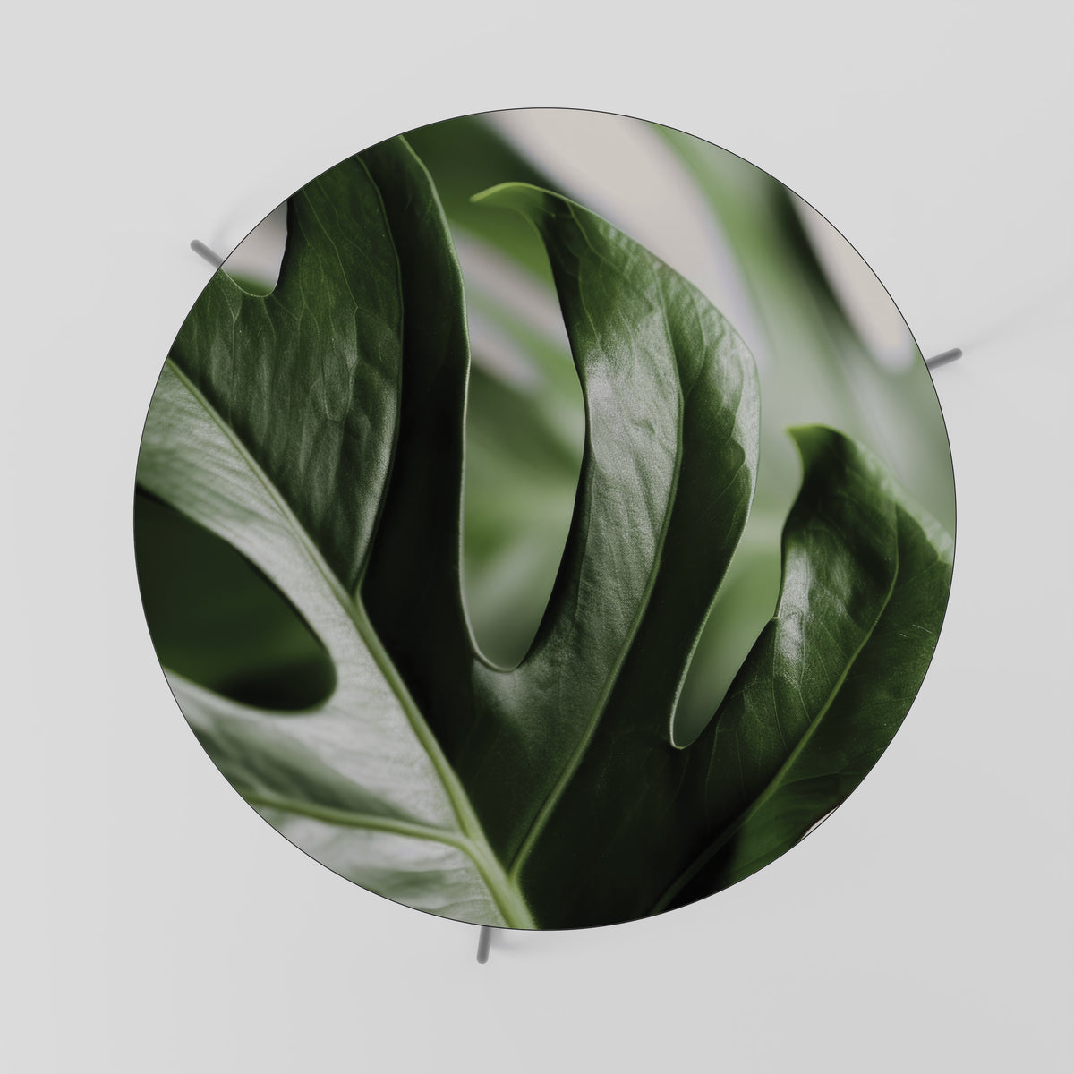 SHARP MONSTERA Konferenční stolek