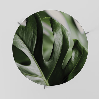 SHARP MONSTERA Konferenční stolek