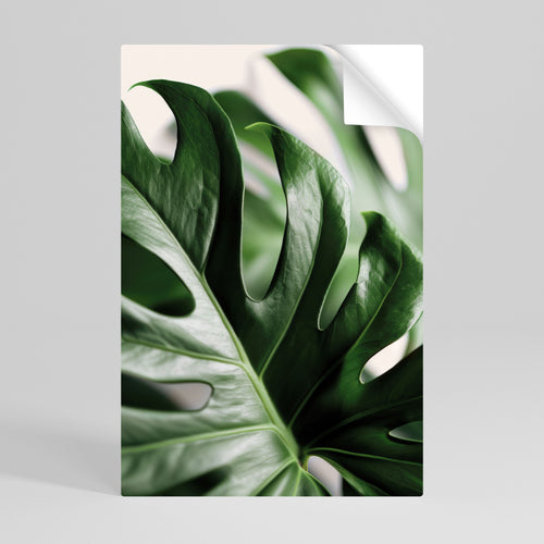 SHARP MONSTERA Svislý samolepicí plakát
