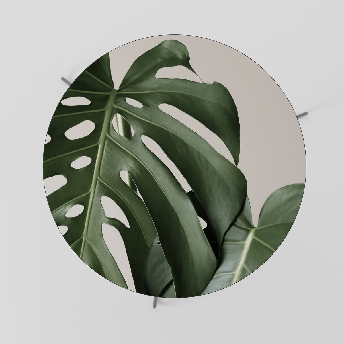 MONSTERA ACCURACY Konferenční stolek
