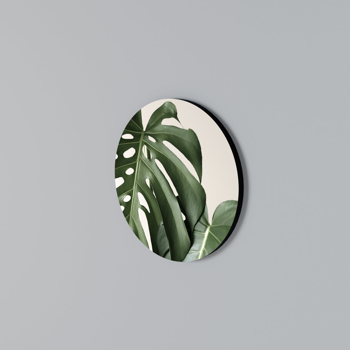 MONSTERA ACCURACY Kulatá nástěnná dekorace
