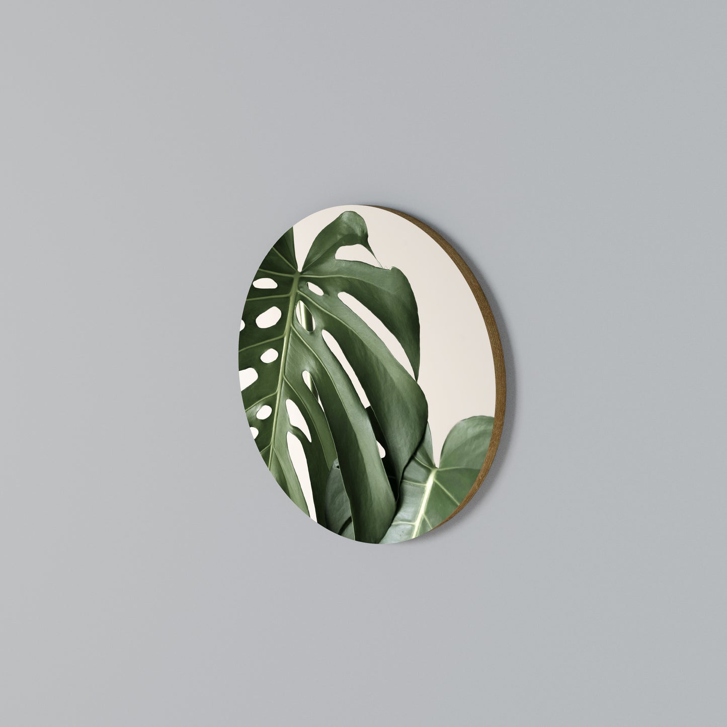 MONSTERA ACCURACY Kulatá nástěnná dekorace