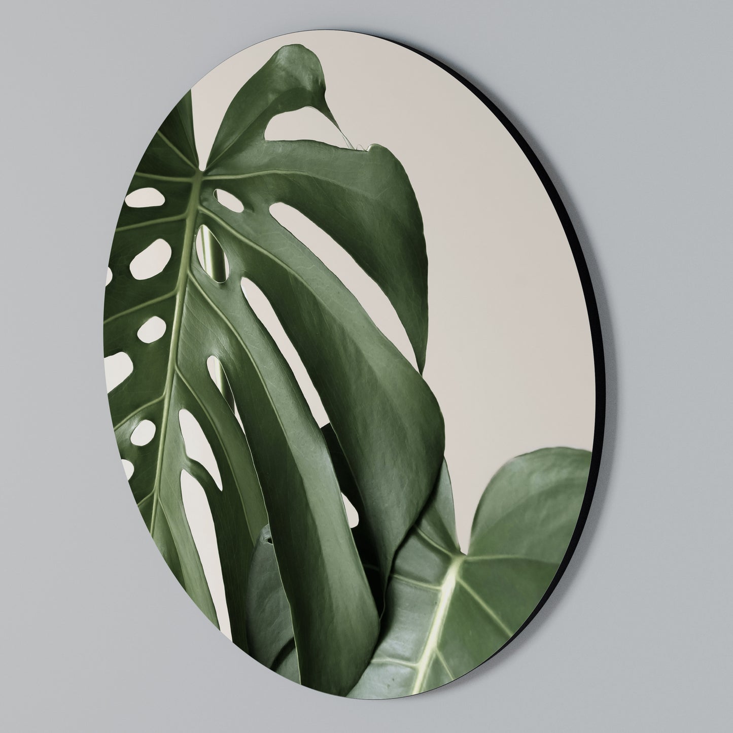 MONSTERA ACCURACY Kulatá nástěnná dekorace