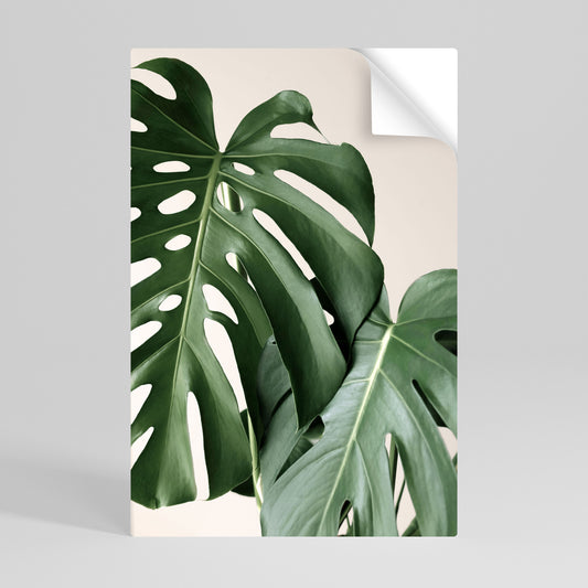 MONSTERA ACCURACY Svislý samolepicí plakát