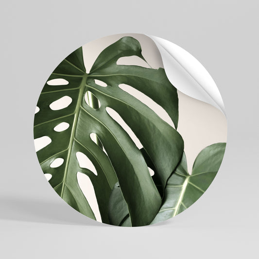 MONSTERA ACCURACY Kulatá samolepka