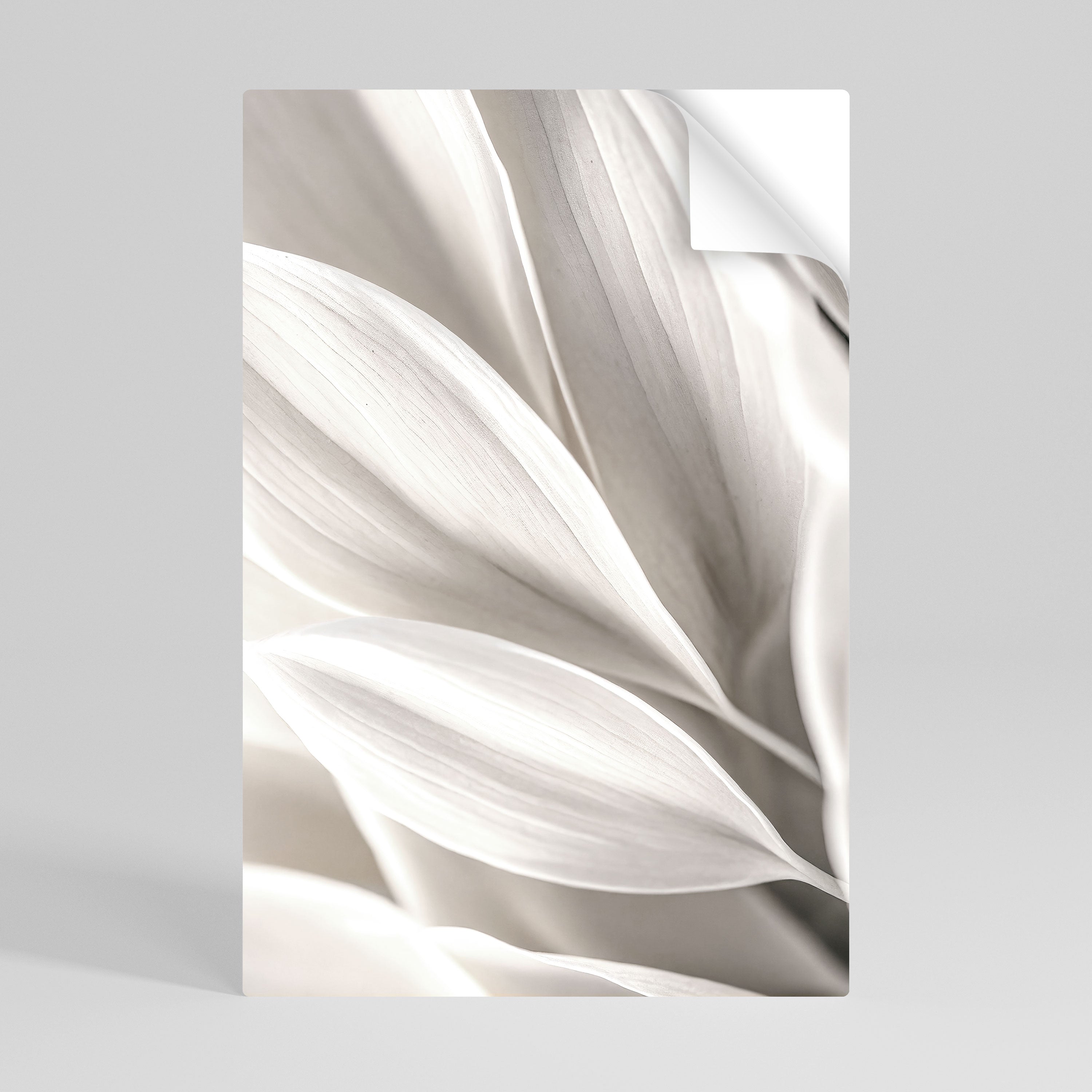 WHISPERS OF WHITE Svislý samolepicí plakát