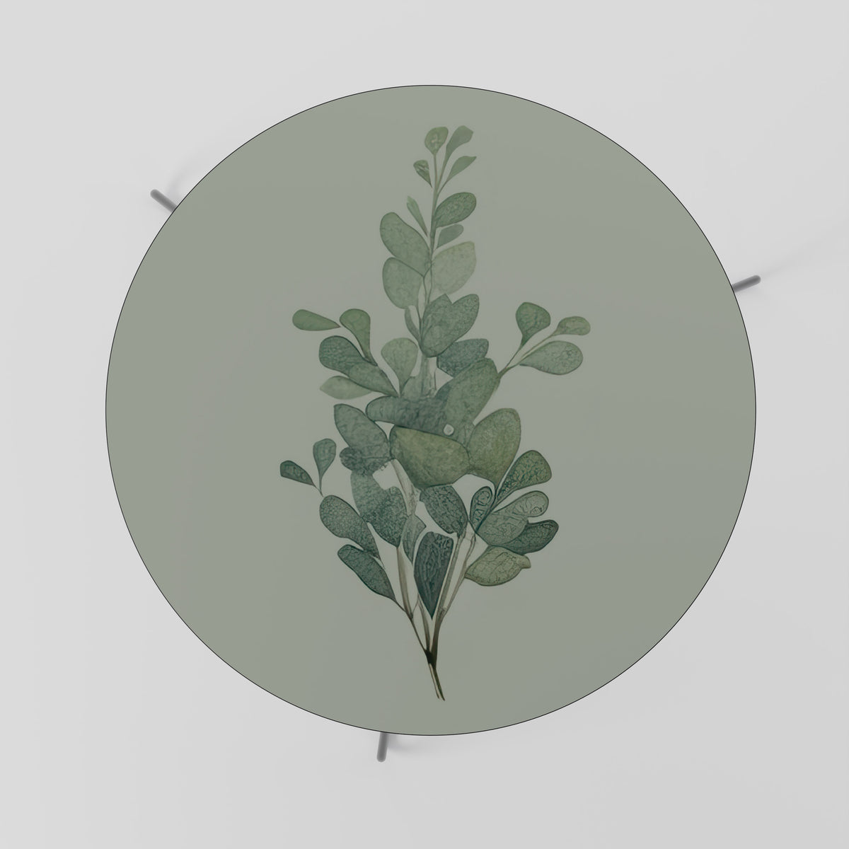 EUCALYPTUS TWIG Konferenční stolek