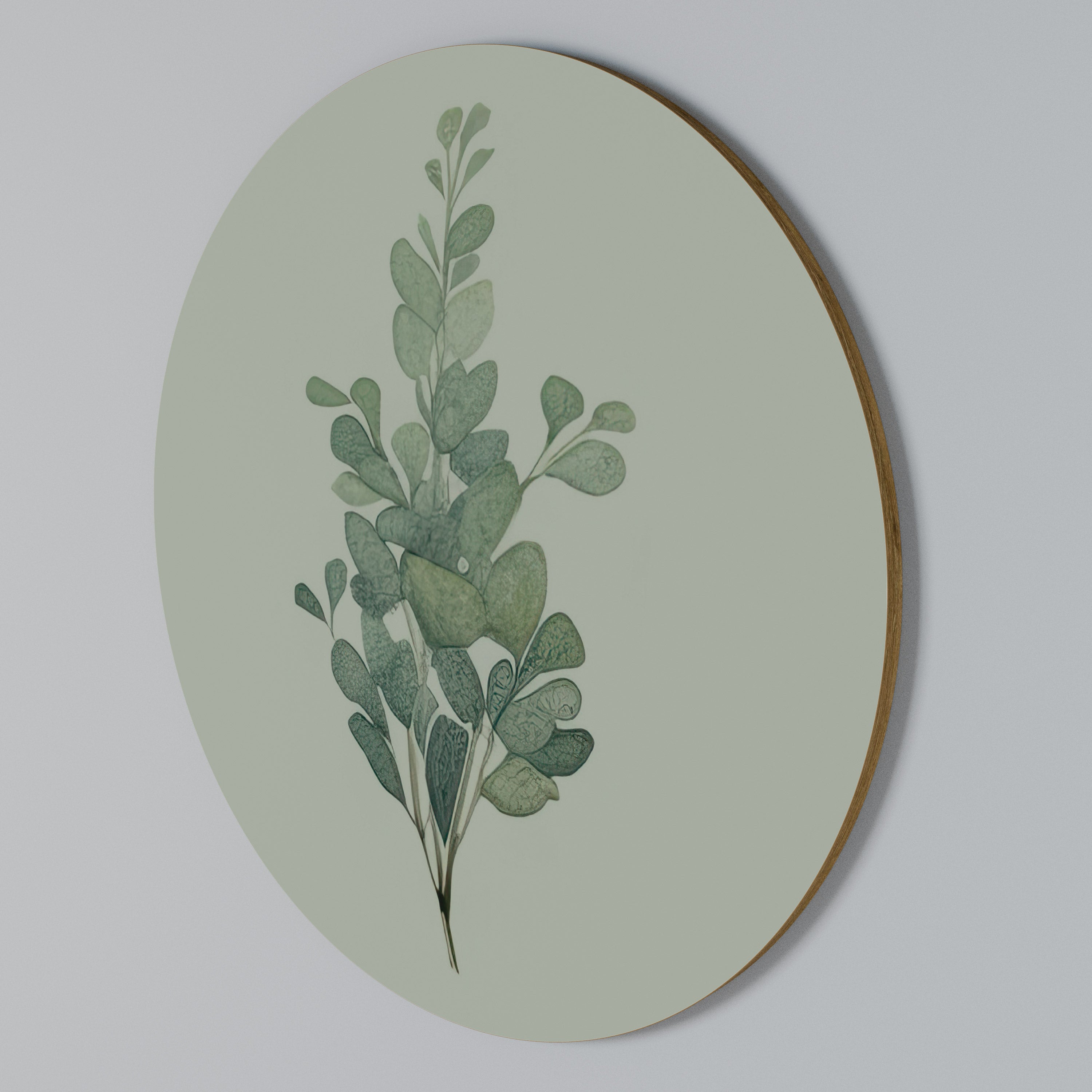 EUCALYPTUS TWIG Round Wall Art
