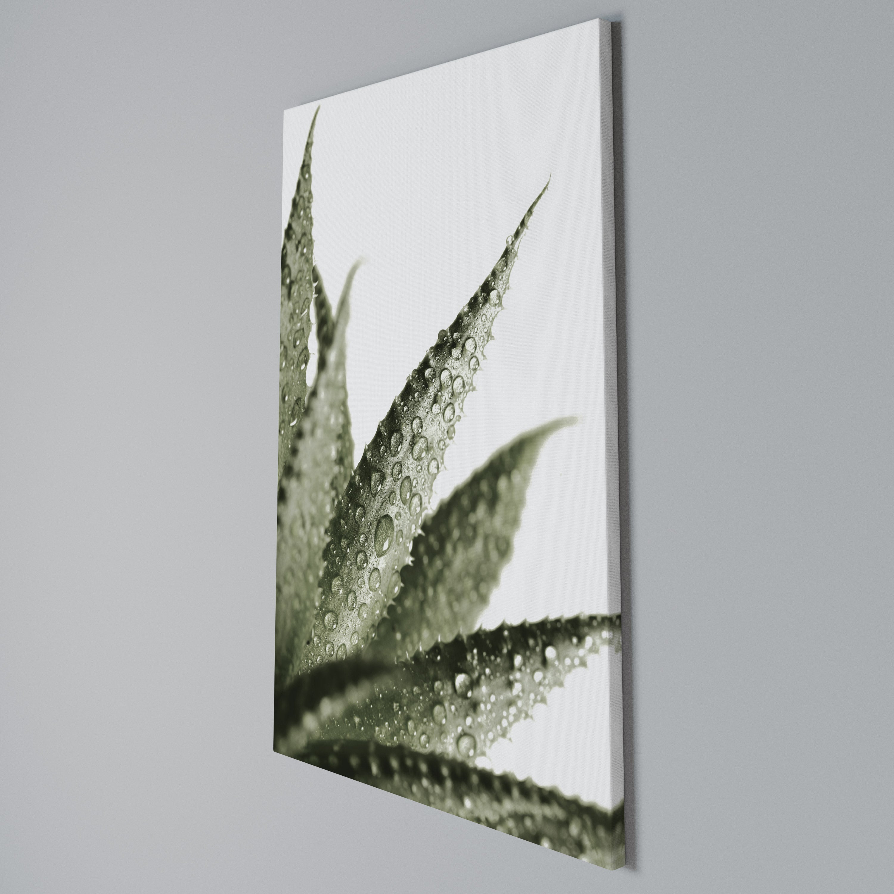 DEWDROP SYMPHONY Vertical Canvas Print