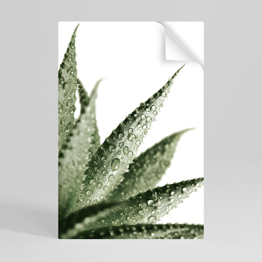DEWDROP SYMPHONY Svislý samolepicí plakát