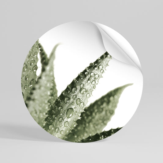 DEWDROP SYMPHONY Kulatá samolepka