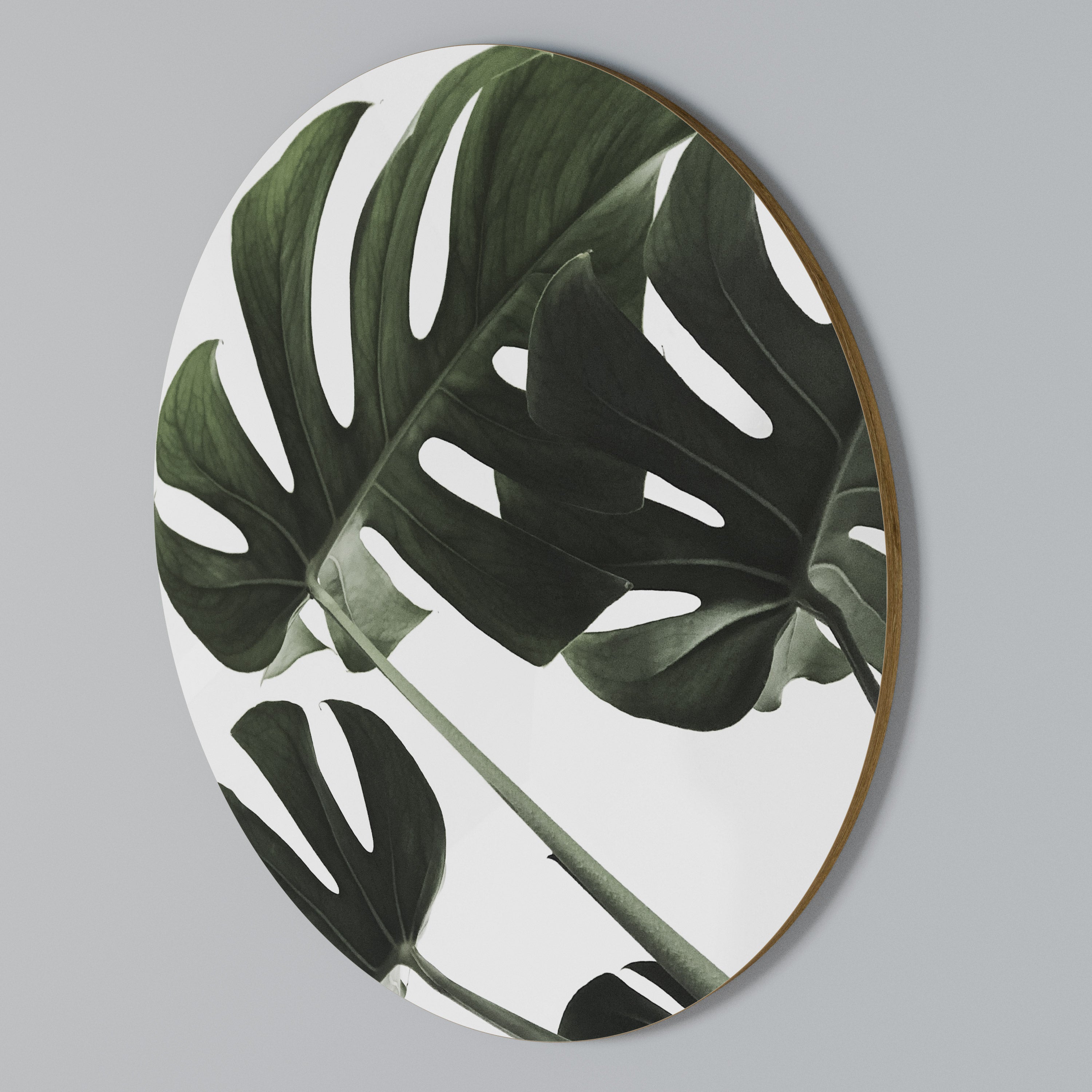FOLIAGE FUSION Round Wall Art