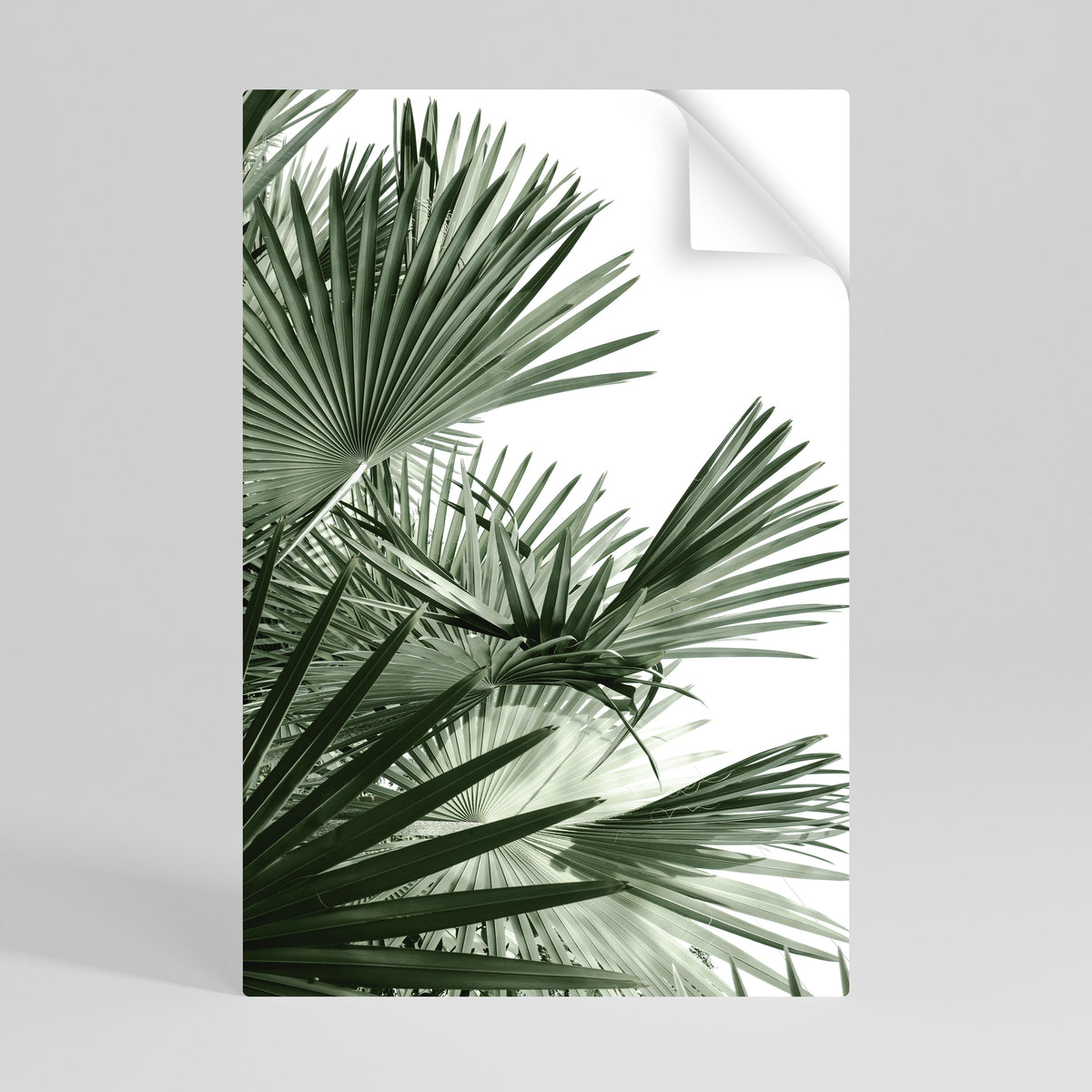 PALM PARADISE DANCE Svislý samolepicí plakát