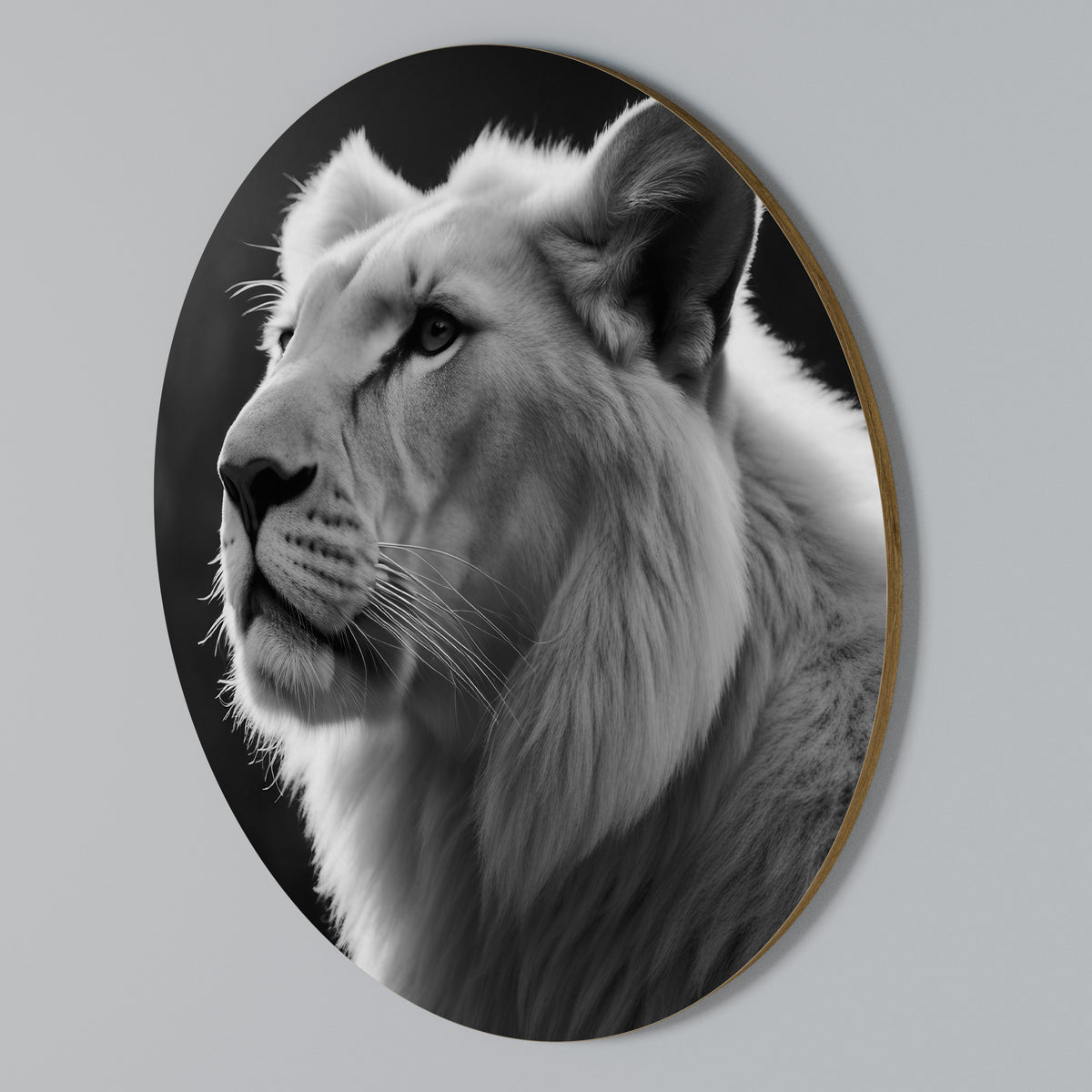 WHISPERS OF MAJESTY Kulatá nástěnná dekorace