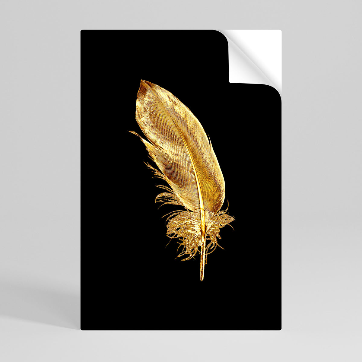 SHIMMERING FEATHER GRACE Svislý samolepicí plakát