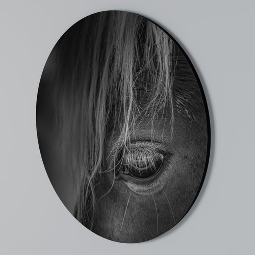 SILENT STRENGTH Kulatá nástěnná dekorace