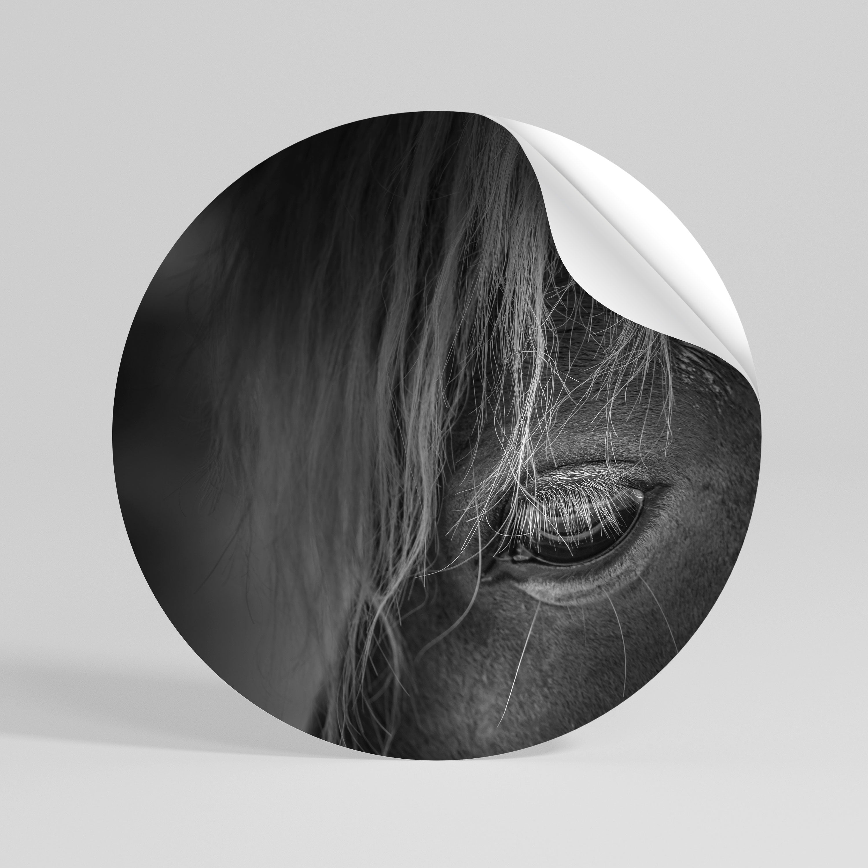 SILENT STRENGTH Kulatá samolepka