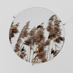 DANCE OF REEDS Konferenční stolek