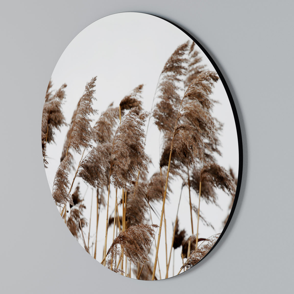 DANCE OF REEDS Kulatá nástěnná dekorace