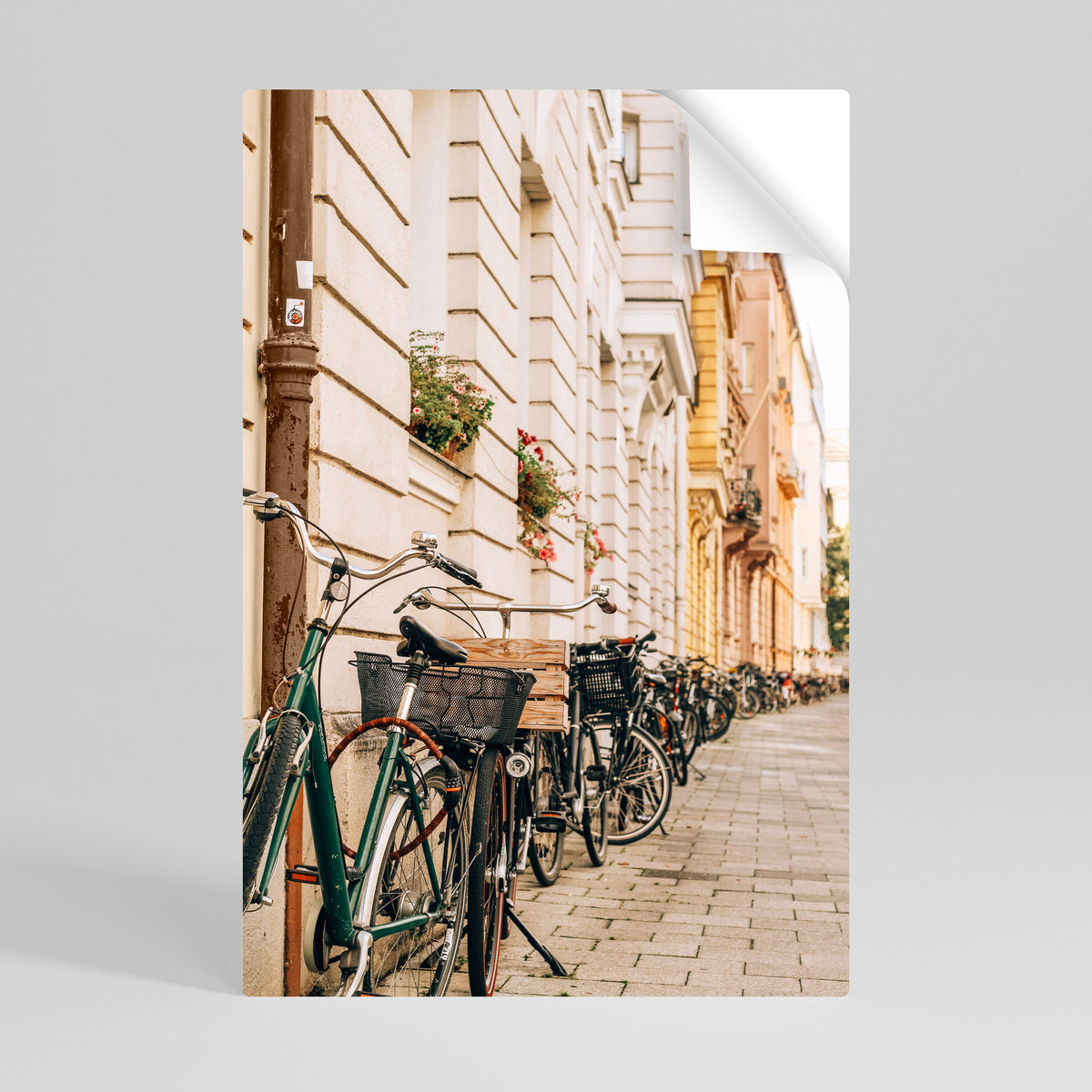 URBAN CYCLE HAVEN Svislý samolepicí plakát
