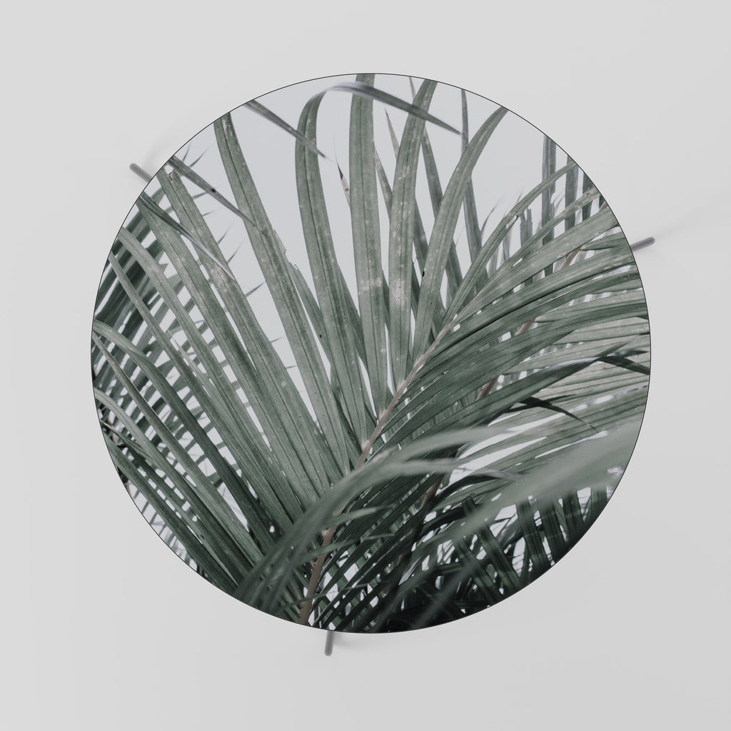 PALM WHISPERS Konferenční stolek