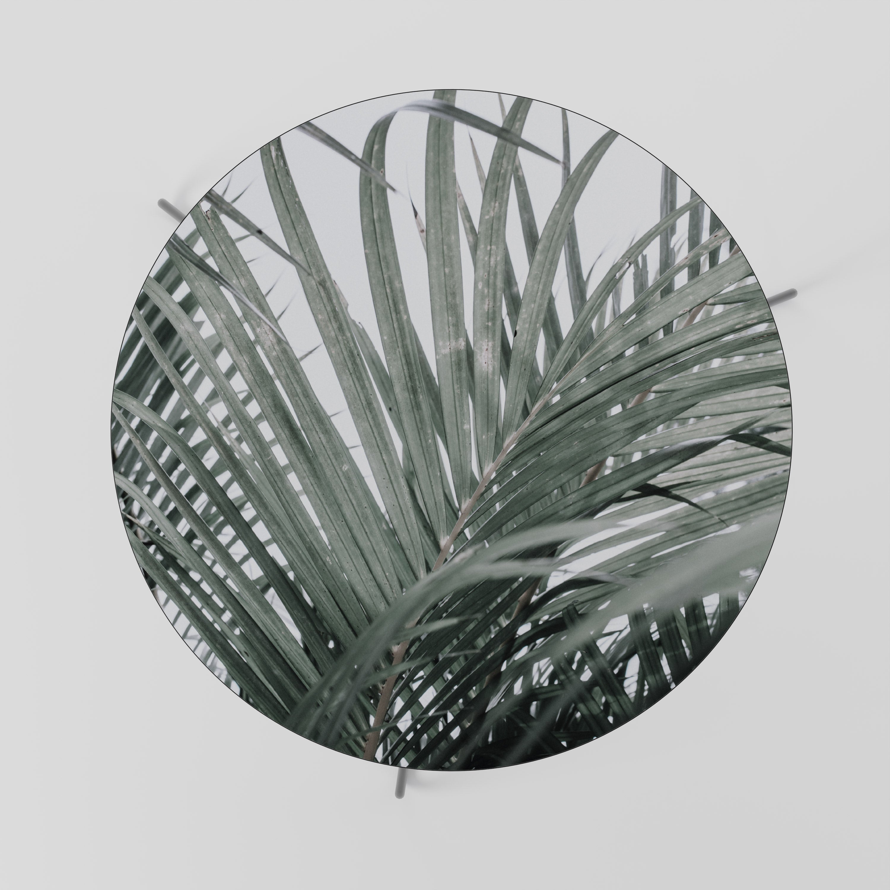 PALM WHISPERS Konferenční stolek