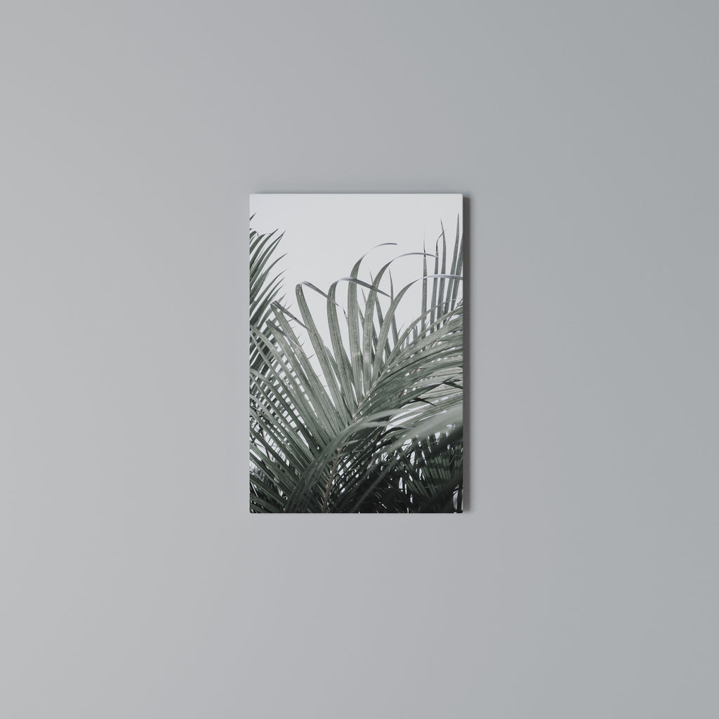 PALM WHISPERS Vertical Canvas Print