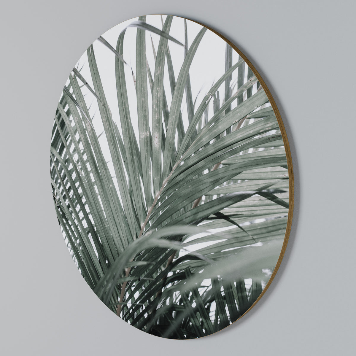 PALM WHISPERS Kulatá nástěnná dekorace