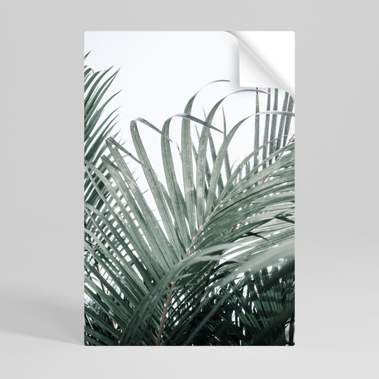 PALM WHISPERS Svislý samolepicí plakát