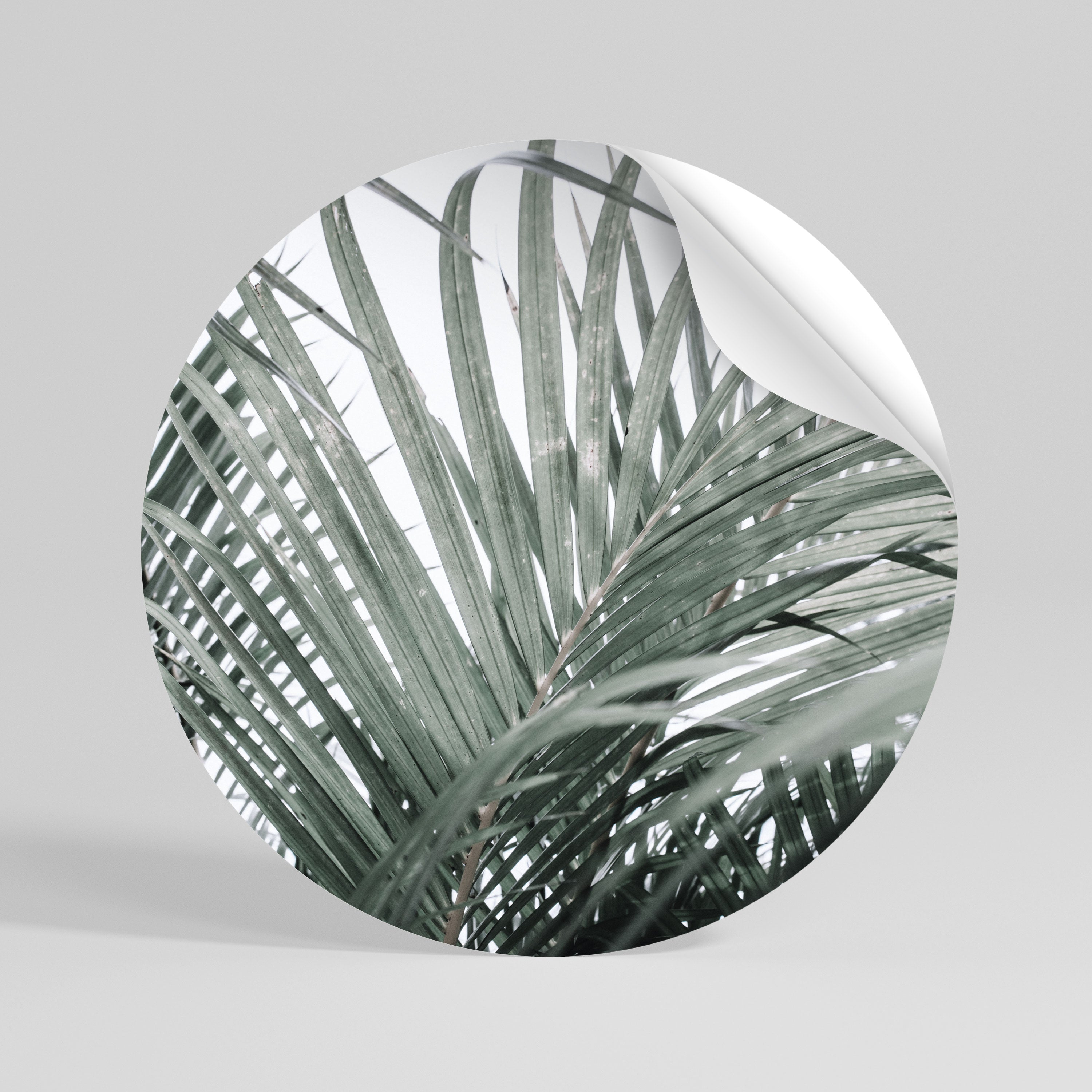 PALM WHISPERS Kulatá samolepka