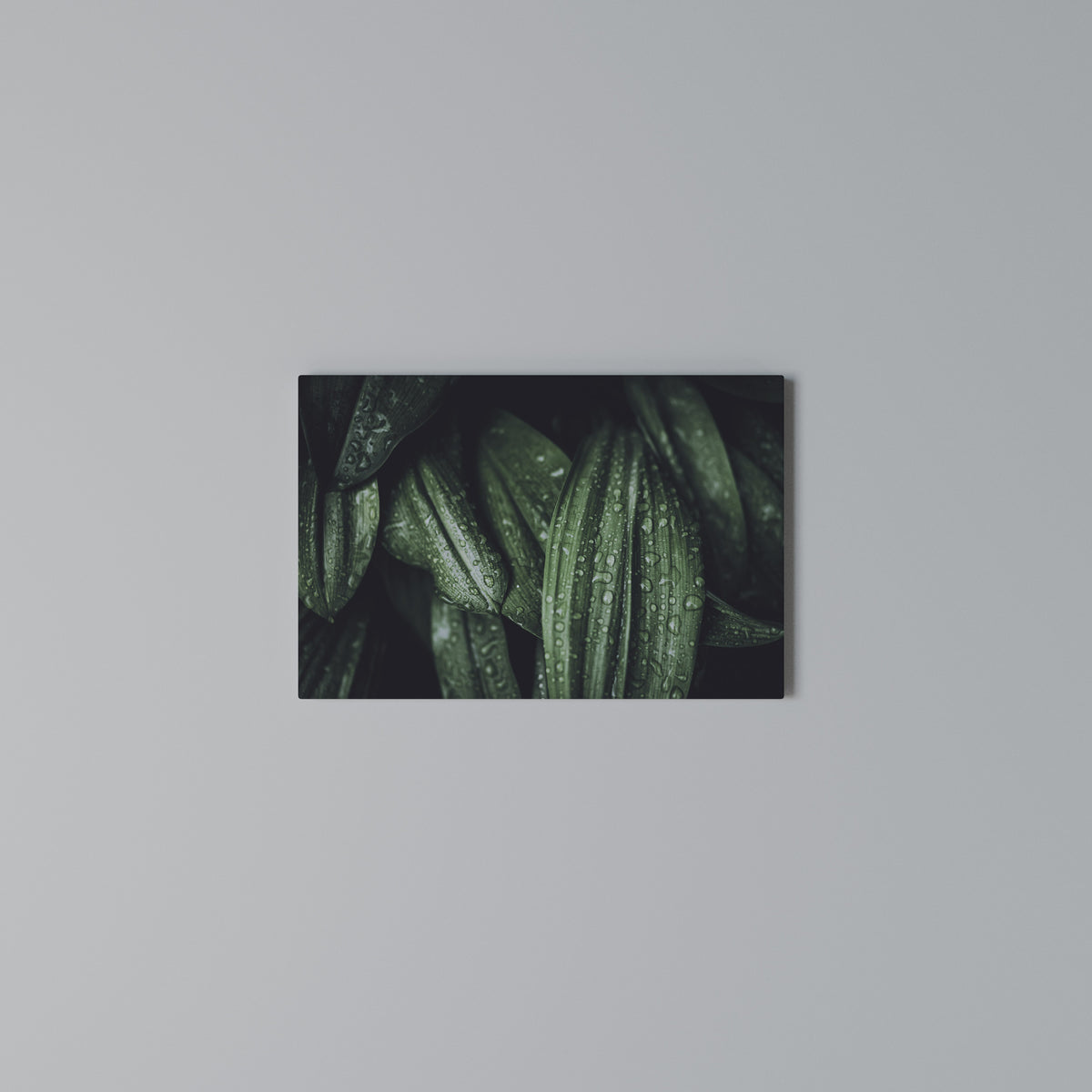 LUSH DROPLET DANCE Horizontal Canvas Print