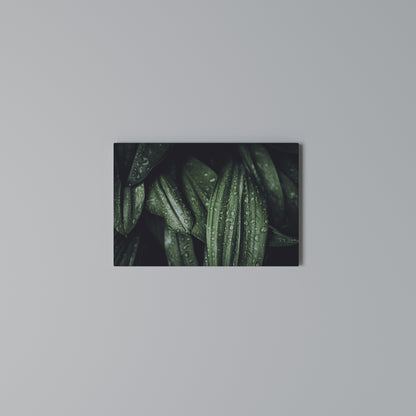 LUSH DROPLET DANCE Horizontal Canvas Print