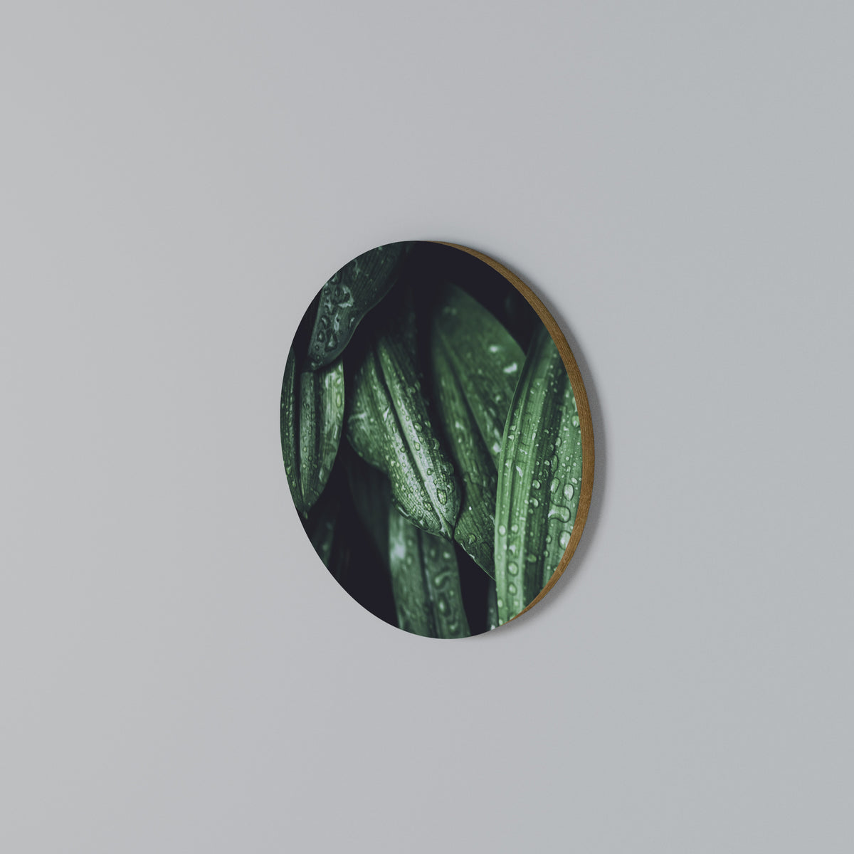 LUSH DROPLET DANCE Kulatá nástěnná dekorace