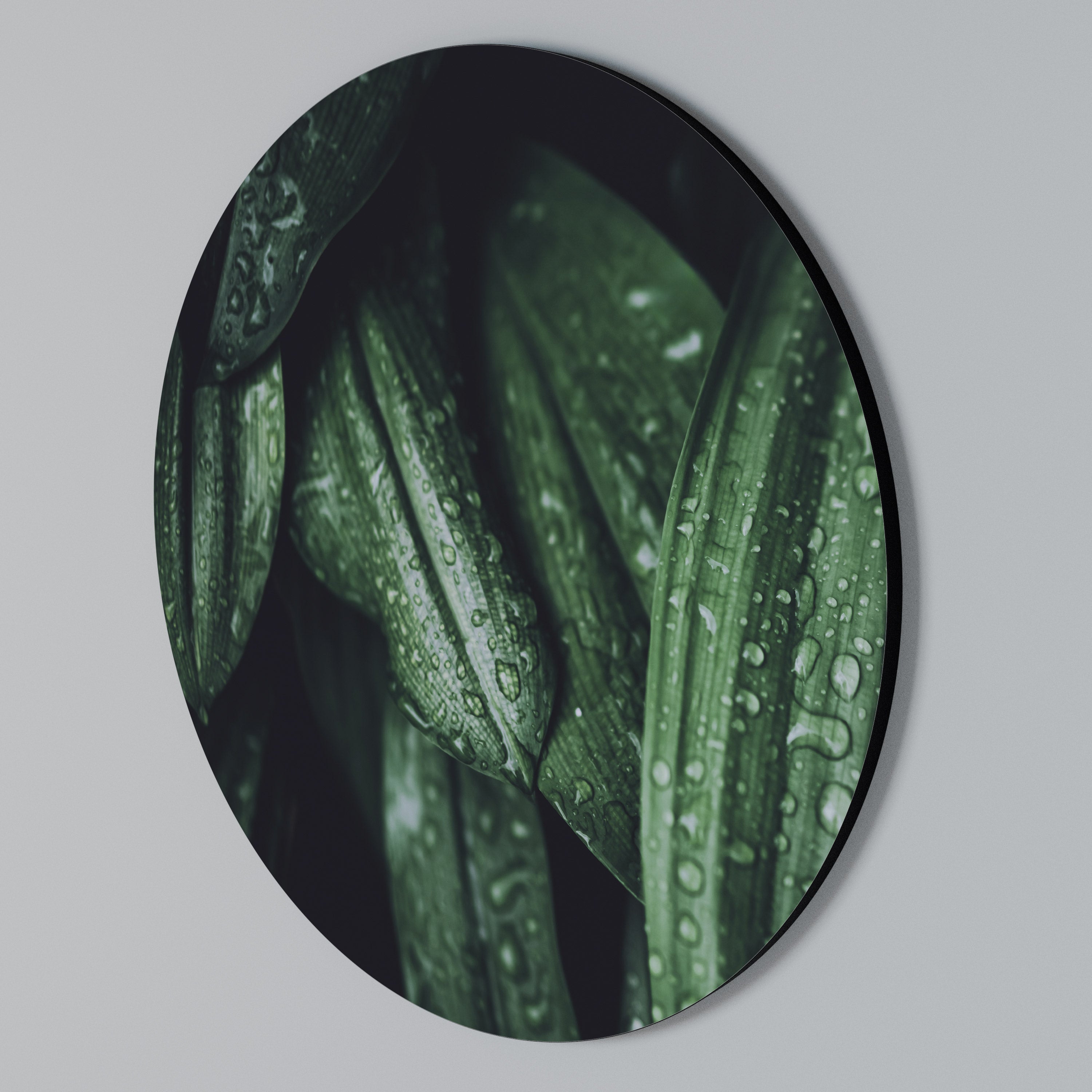 LUSH DROPLET DANCE Round Wall Art