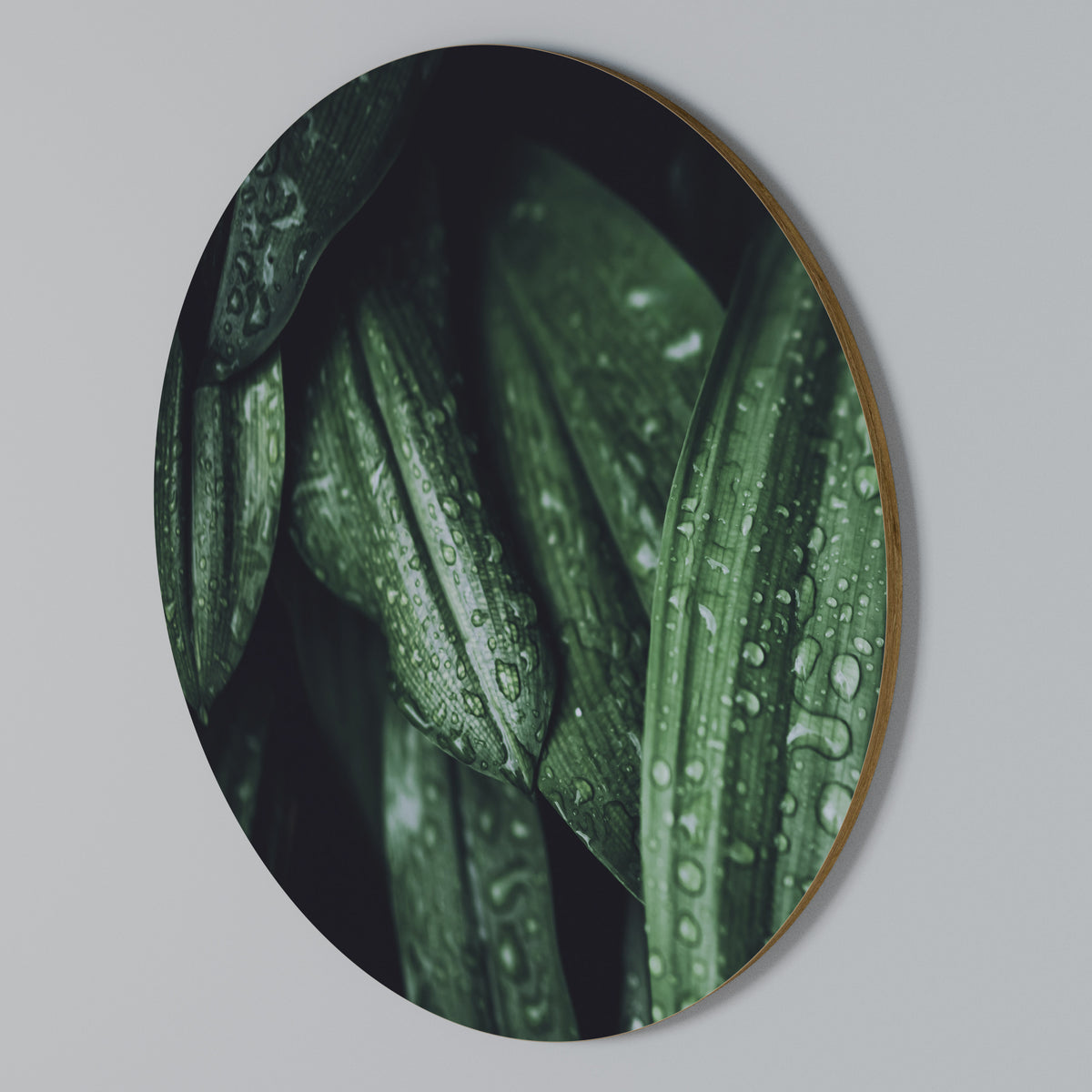 LUSH DROPLET DANCE Kulatá nástěnná dekorace