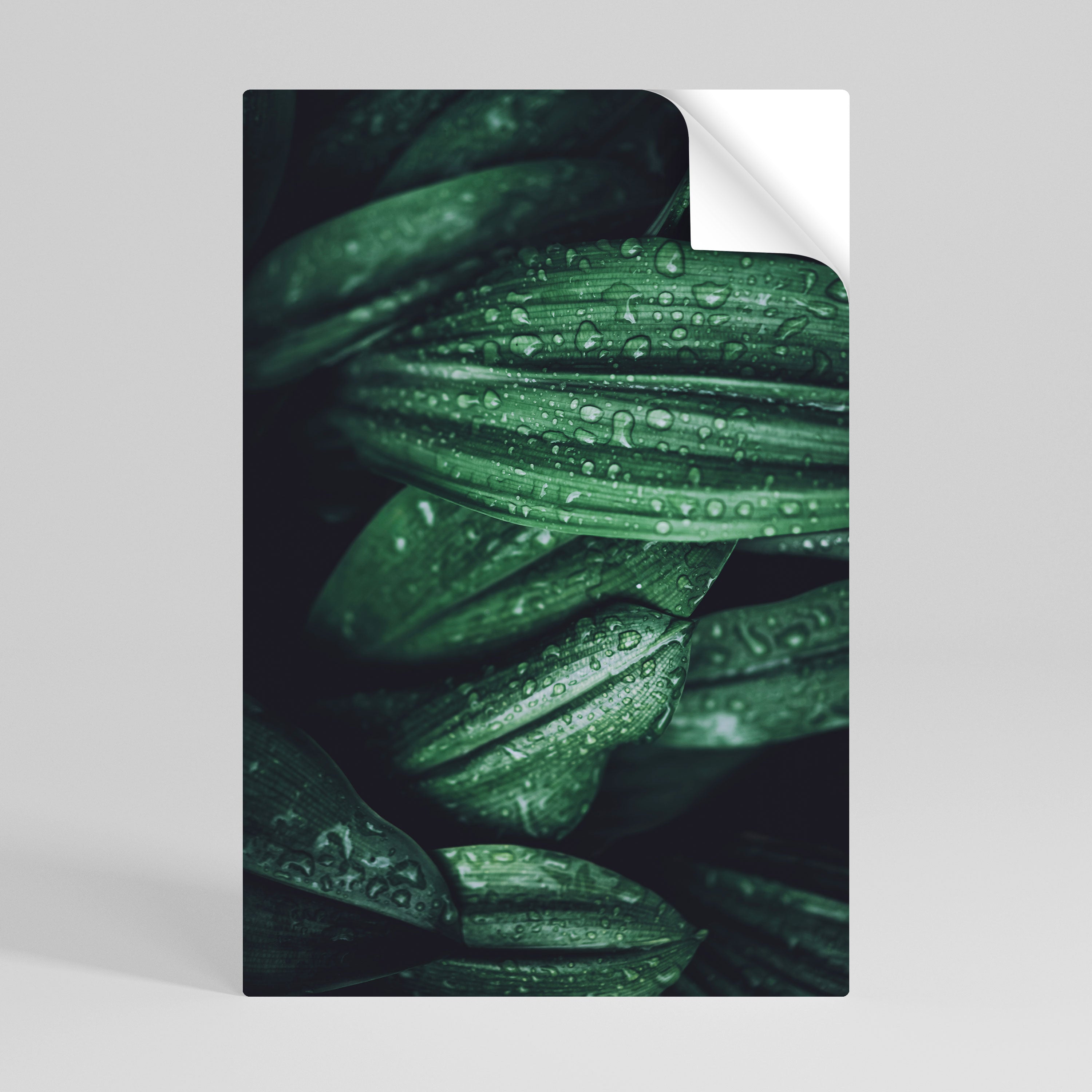 LUSH DROPLET DANCE Peel and Stick Vertical Poster