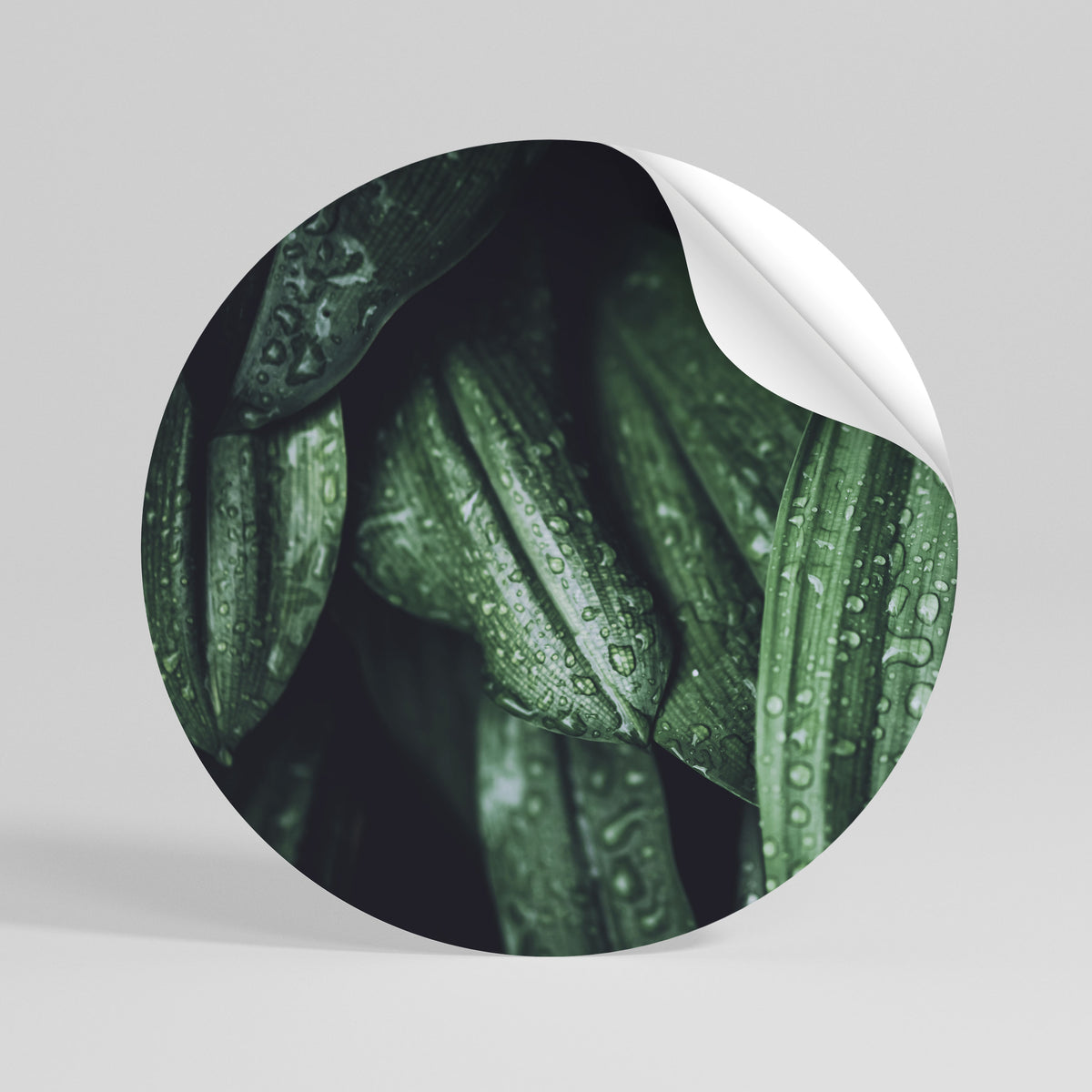 LUSH DROPLET DANCE Kulatá samolepka