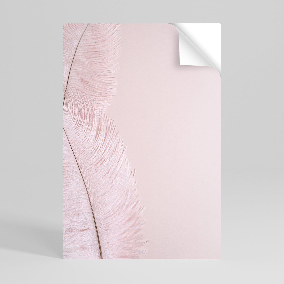 WHISPERING PINK FEATHERS Svislý samolepicí plakát