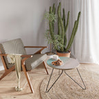 COASTAL CALM ARTISTRY Konferenční stolek