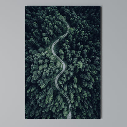 FORESTED SERPENTINE ROUTE Vertical Canvas Print
