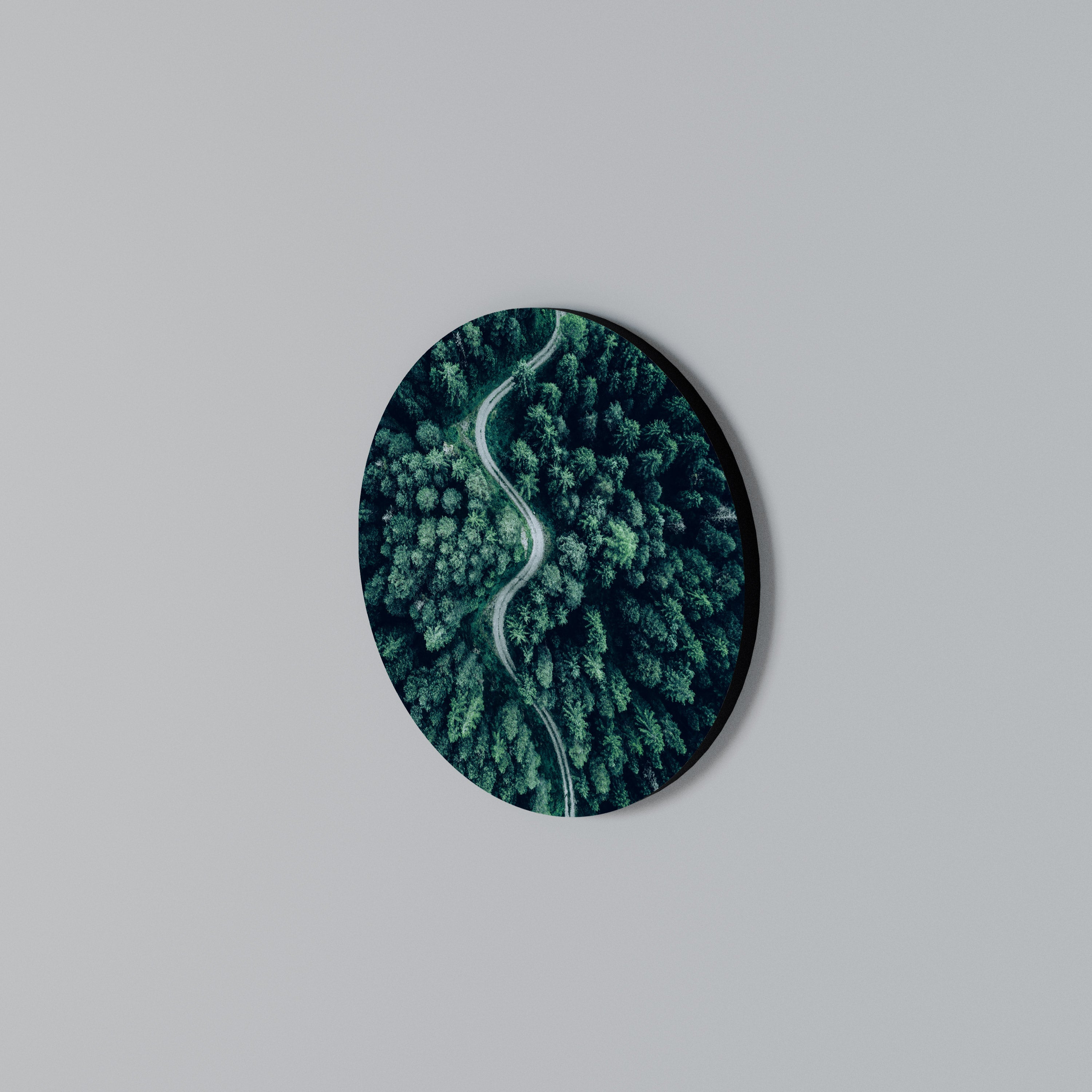 FORESTED SERPENTINE ROUTE Round Wall Art