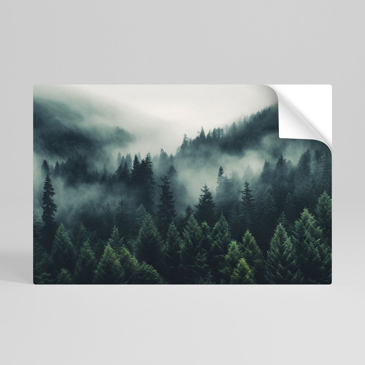 MYSTICAL FOREST WHISPERS Vodorovný samolepicí plakát